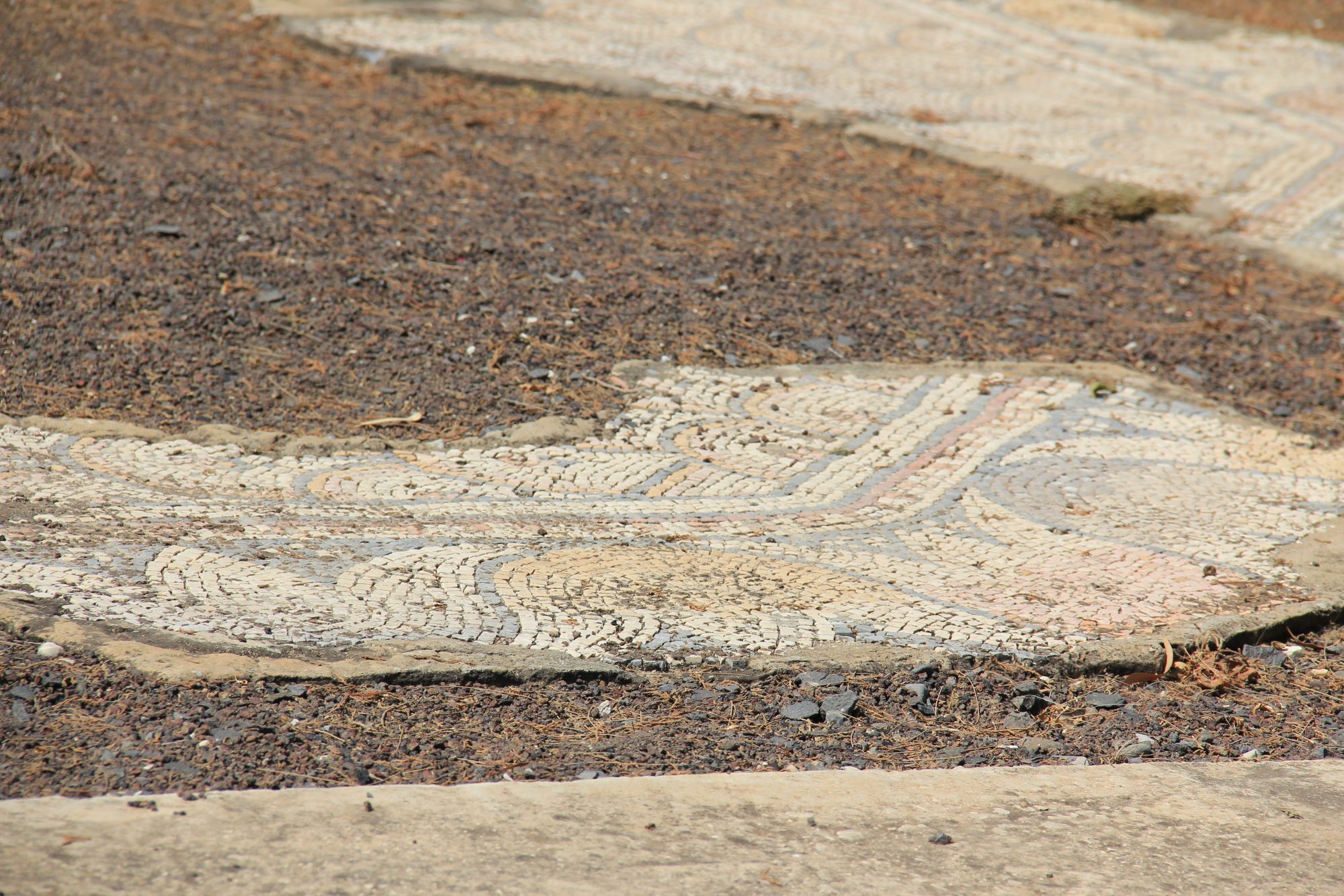 Capharnaum 64